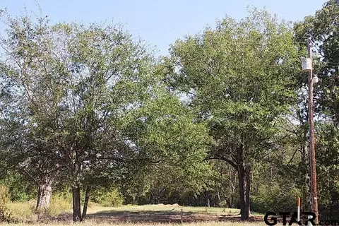 104 S Price, Troup, TX 75789