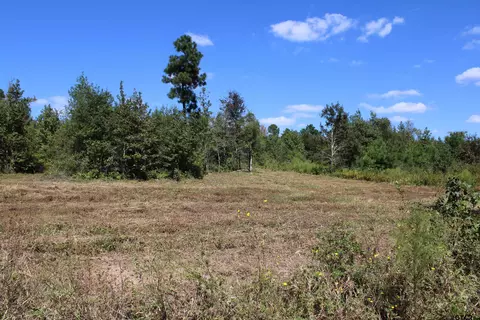 tbd Cr 2215 #LOT 9, Rusk, TX 75785