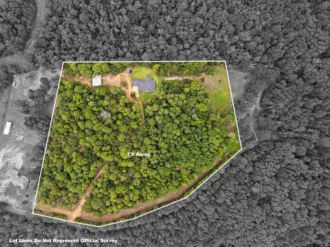 8770 Silver Spruce Rd, Gilmer, TX 75645 photo 45