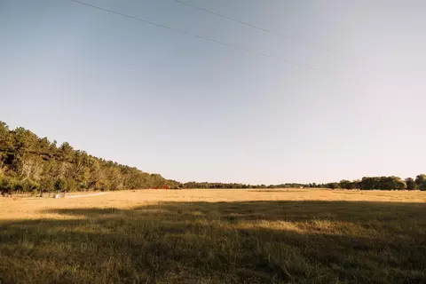 8235 E Fm 227, Grapeland, TX 75844
