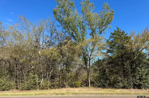 tbd Fm 1799, Mineola, TX 75773