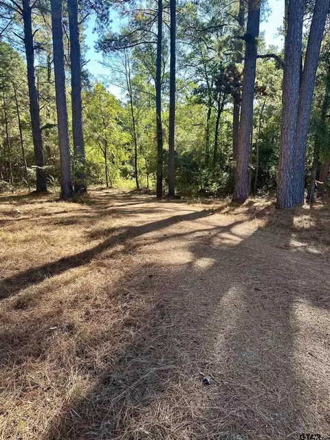 344 Cr 4798, Winnsboro, TX 75494