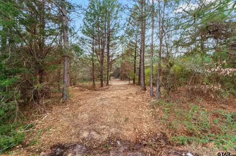 lot4 County Road 339, Tyler, TX 75706