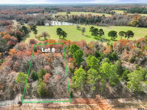 tbd Pr 6305 #LOT 8, Mineola, TX 75773