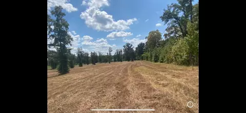 tbd Cr 358 Tract 7, Winona, TX 75792