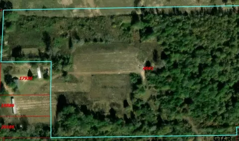 tbd Cr 3418, Leesburg, TX 75451
