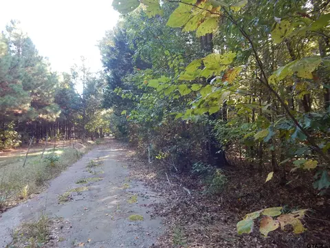 tbd Johnson Rd, Gilmer, TX 75645 photo 7