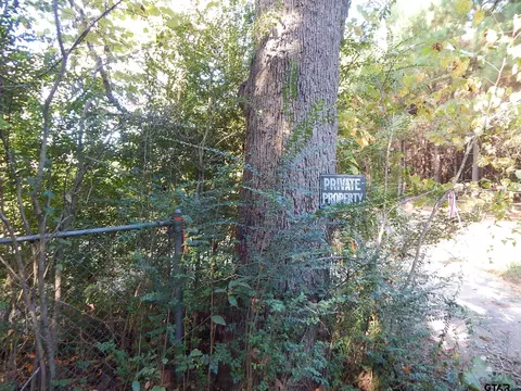 tbd Johnson Rd, Gilmer, TX 75645 photo 4
