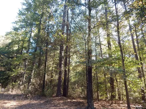 tbd Johnson Rd, Gilmer, TX 75645 photo 10