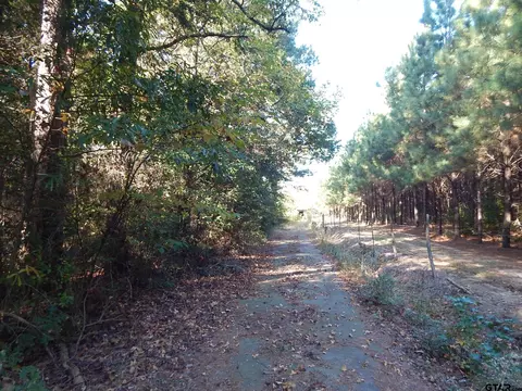 tbd Johnson Rd, Gilmer, TX 75645 photo 6