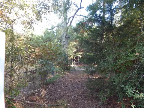 tbd Johnson Rd, Gilmer, TX 75645 photo 3