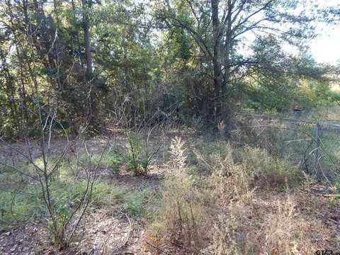 tbd Johnson Rd, Gilmer, TX 75645