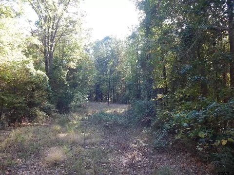 tbd Johnson Rd, Gilmer, TX 75645 photo 2
