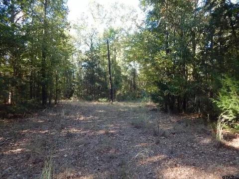 tbd Johnson Rd, Gilmer, TX 75645 photo 12