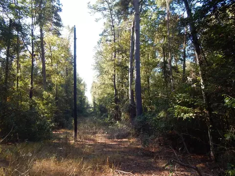 tbd Johnson Rd, Gilmer, TX 75645 photo 9