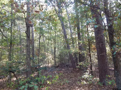 tbd Johnson Rd, Gilmer, TX 75645 photo 11