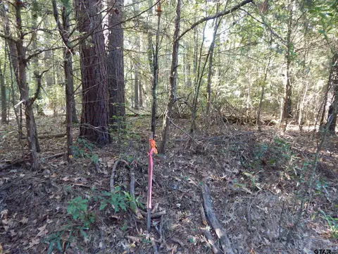 tbd Johnson Rd, Gilmer, TX 75645 photo 5