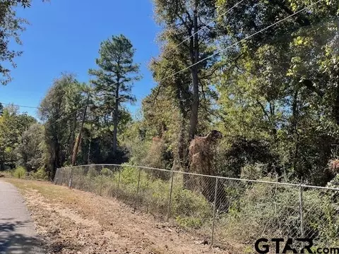 0 Anderson County Road 21282133off, Palestine, TX 75801