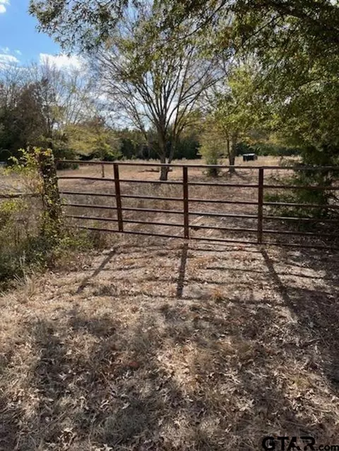 0 An County Road 2805, Tennessee Colony, TX 75861