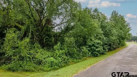 lot43 A Cr 3009, Frankston, TX 75763