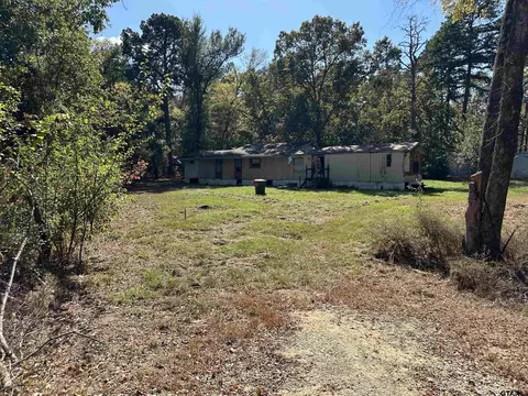 6002 Cr 2297, Whitehouse, TX 75791
