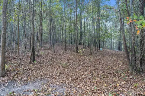 Exterior - 14375 Cr 384, Tyler, TX 75708 photo 12 of 17