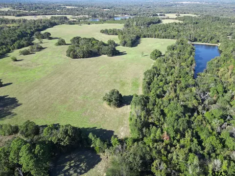 176 964 Acres Fm 49, Mineola, TX 75773