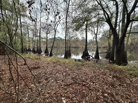1520 Ma Countyroad 3509, Jefferson, TX 75657