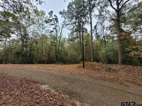 lot S 284-286 Peachtree Ln, Holly Lake Ranch, TX 75765