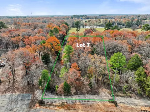 tbd Tbd Pr 6305 #LOT 7, Mineola, TX 75773