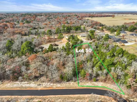 tbd Pr 6305 #LOT 50, Mineola, TX 75773