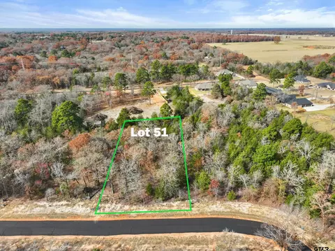 tbd Pr 6305 #LOT 51, Mineola, TX 75773
