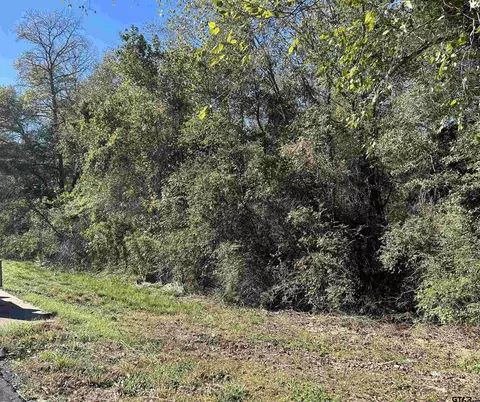 5836 State Hwy 155, Gilmer, TX 75645