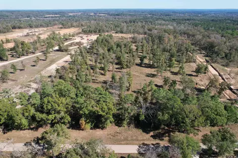 10852 Cr 2123, Whitehouse, TX 75791