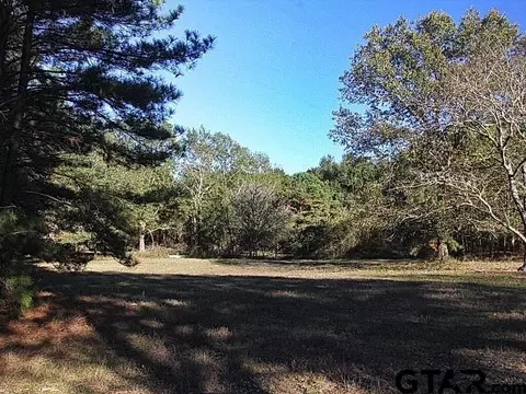 21855 Cr 3211, Overton, TX 75684