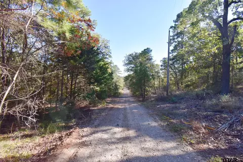 tbd S Fm 2869, Hawkins, TX 75765