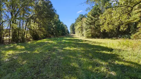 tbd Cr 233d, Overton, TX 75684