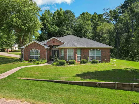 114 Heather Ln, Diana, TX 75640