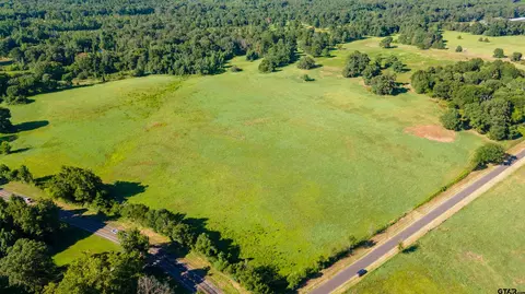 295 Cr 3160, Quitman, TX 75783