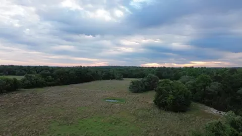 5520 Cr 4330, Larue, TX 75770