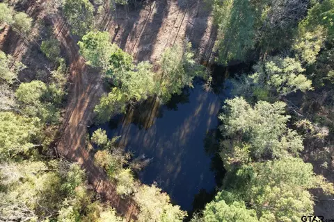 tbd Cr 4484, Tenaha, TX 75974