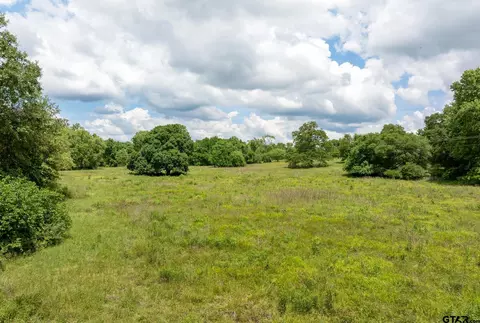 tbd Fm 556, Gilmer, TX 75644