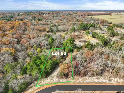 tbd Pr 6305 #LOT 53, Mineola, TX 75773