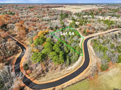 tbd Pr 6305 #LOT 54, Mineola, TX 75773