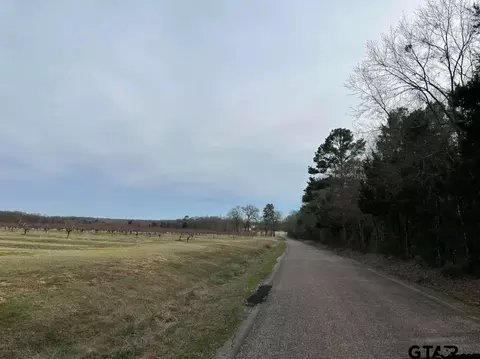 lot1 Cr 4230, Pittsburg, TX 75686