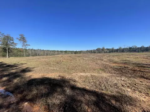 tbd Cr 4505, Tenaha, TX 75974