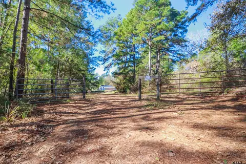 2742 County Road 441, Palestine, TX 75803