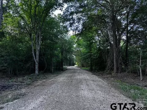 337 Private Road 6256 # 8507, Van, TX 75790