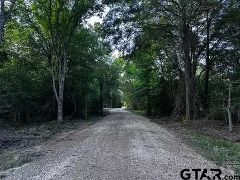 337 Private Road 6256 # 8507, Van, TX 75790