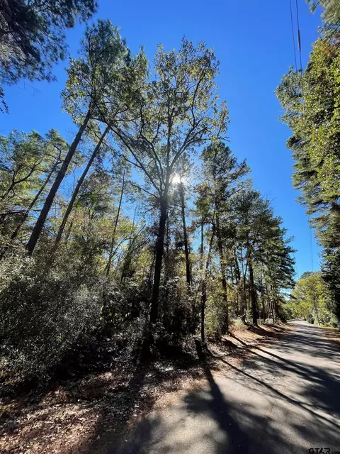 tbd Autumn Wood Trl, Holly Lake Ranch, TX 75765